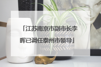 江苏南京市副市长李晖已调任泰州市领导