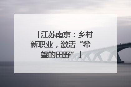 江苏南京：乡村新职业，激活“希望的田野”