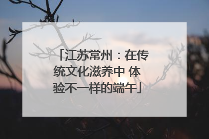 江苏常州：在传统文化滋养中 体验不一样的端午