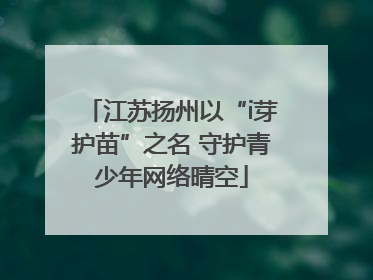 江苏扬州以“i芽护苗”之名 守护青少年网络晴空