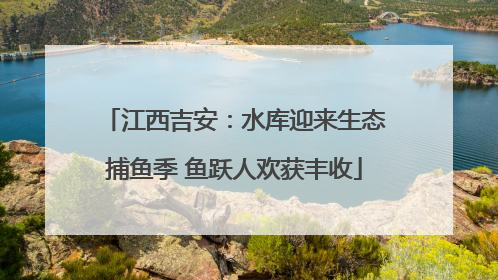江西吉安：水库迎来生态捕鱼季 鱼跃人欢获丰收