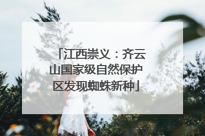 江西崇义：齐云山国家级自然保护区发现蜘蛛新种