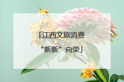 江西文旅消费“新新”向荣