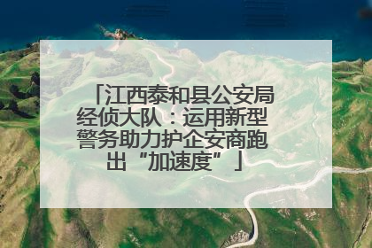 江西泰和县公安局经侦大队：运用新型警务助力护企安商跑出“加速度”