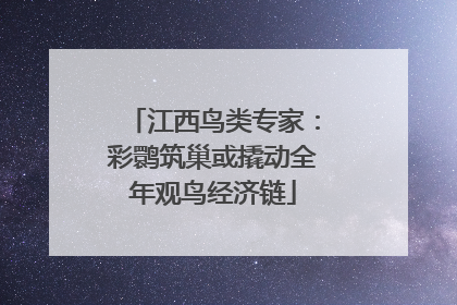 江西鸟类专家：彩鹮筑巢或撬动全年观鸟经济链