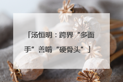 汤恒明：跨界“多面手”善啃“硬骨头”