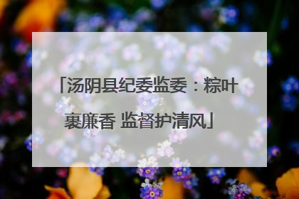 汤阴县纪委监委：粽叶裹廉香 监督护清风