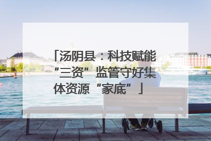 汤阴县：科技赋能“三资”监管守好集体资源“家底”