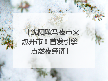 沈阳歇马夜市火爆开市！首发引擎点燃夜经济