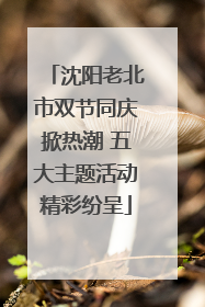 沈阳老北市双节同庆掀热潮 五大主题活动精彩纷呈