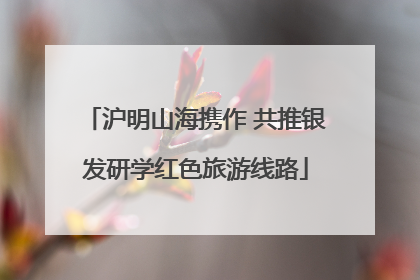 沪明山海携作 共推银发研学红色旅游线路