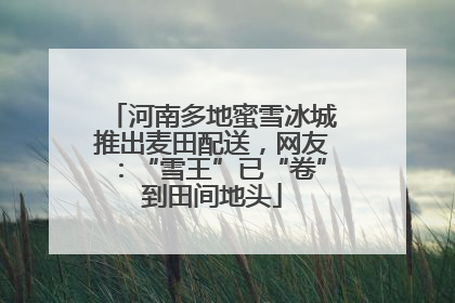 河南多地蜜雪冰城推出麦田配送，网友：“雪王”已“卷”到田间地头