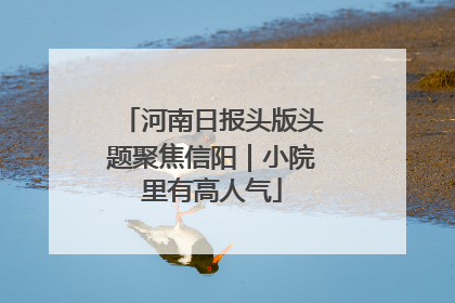河南日报头版头题聚焦信阳｜小院里有高人气