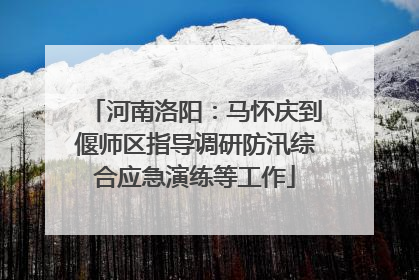 河南洛阳：马怀庆到偃师区指导调研防汛综合应急演练等工作