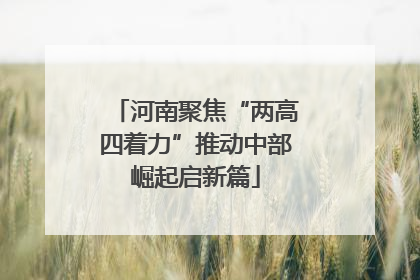 河南聚焦“两高四着力”推动中部崛起启新篇