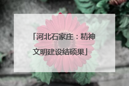河北石家庄：精神文明建设结硕果