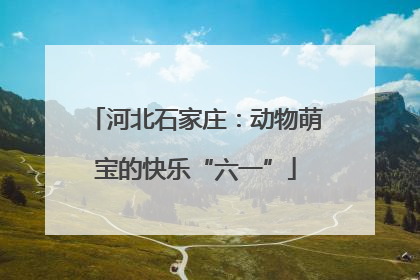 河北石家庄：动物萌宝的快乐“六一”