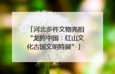 河北多件文物亮相“龙腾中国：红山文化古国文明特展”