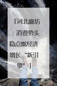 河北廊坊：消费势头稳点燃经济增长“新引擎”