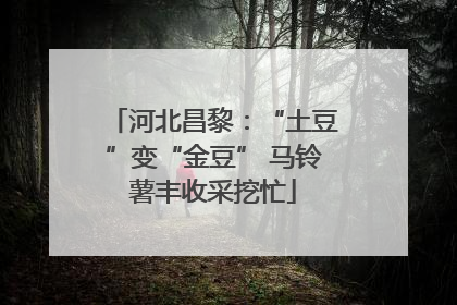 河北昌黎：“土豆”变“金豆” 马铃薯丰收采挖忙