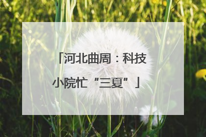 河北曲周：科技小院忙“三夏”