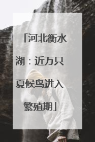 河北衡水湖：近万只夏候鸟进入繁殖期