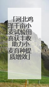 河北鸡泽千亩小麦试验田喜获丰收 助力小麦育种提质增效