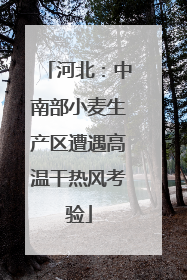 河北：中南部小麦生产区遭遇高温干热风考验