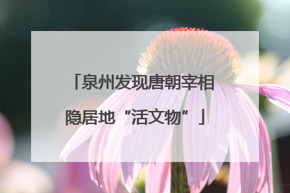 泉州发现唐朝宰相隐居地“活文物”