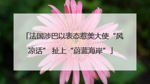 法国涉巴以表态惹美大使“风凉话” 扯上“蔚蓝海岸”