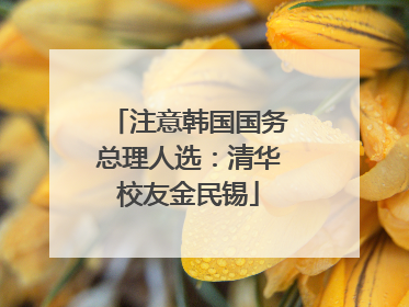 注意韩国国务总理人选：清华校友金民锡