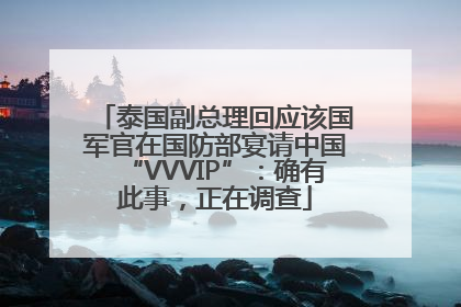泰国副总理回应该国军官在国防部宴请中国“VVVIP”：确有此事，正在调查