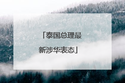 泰国总理最新涉华表态