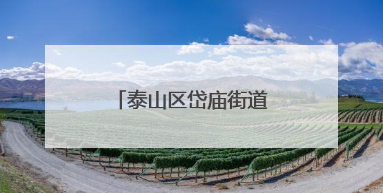 泰山区岱庙街道通天社区开展端午节文化系列活动