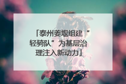泰州姜堰组建“轻骑队”为基层治理注入新动力