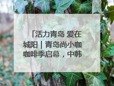 活力青岛 爱在城阳｜青岛尚小咖咖啡季启幕，中韩消费新场景点燃夏日热情