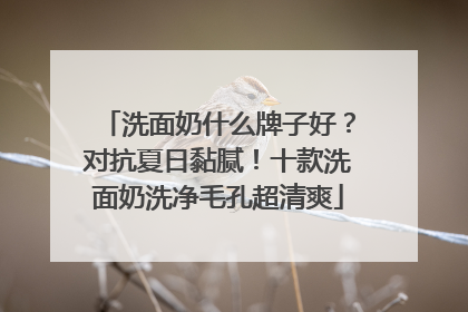 洗面奶什么牌子好？对抗夏日黏腻！十款洗面奶洗净毛孔超清爽
