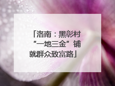 洛南：黑彰村“一地三金”铺就群众致富路