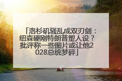 洛杉矶骚乱成双刃剑：纽森硬刚特朗普塑人设？批评称一些图片或让他2028总统梦碎