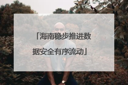 海南稳步推进数据安全有序流动