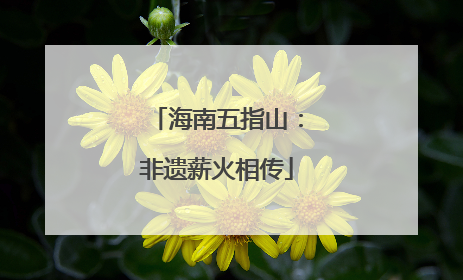 海南五指山：非遗薪火相传