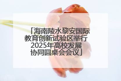 海南陵水黎安国际教育创新试验区举行2025年高校发展协同圆桌会会议