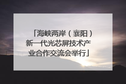 海峡两岸（襄阳）新一代光芯屏技术产业合作交流会举行