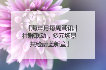 海洋月每周潮讯｜社群联动，多元场景共绘蔚蓝新章