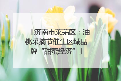 济南市莱芜区：油桃采摘节催生区域品牌“甜蜜经济”