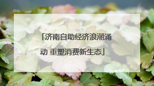 济南自助经济浪潮涌动 重塑消费新生态