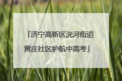 济宁高新区洸河街道黄庄社区护航中高考