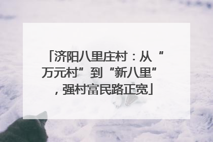 济阳八里庄村：从“万元村”到“新八里”，强村富民路正宽