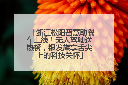 浙江松阳智慧助餐车上线！无人驾驶送热餐，银发族享舌尖上的科技关怀