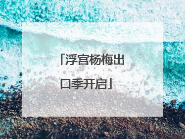 浮宫杨梅出口季开启